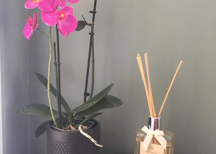 Cevennes Apartment *